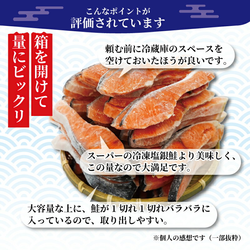 【ふるさと納税】 訳あり 塩銀鮭 切り身 約2.8kg 冷凍 おかず 惣菜 さけ サケ 魚 海鮮 銚子 銚子東洋