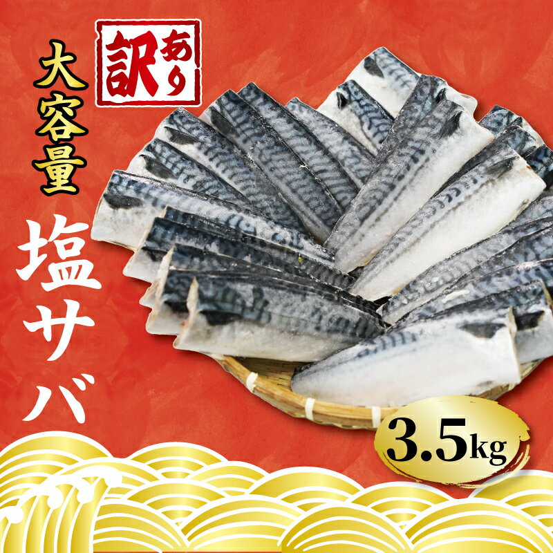 【ふるさと納税】 訳あり 塩サバ フィーレ 約3.5kg 冷凍 おかず 惣菜 鯖 さば 魚 海鮮 大容量 銚子 銚子東洋