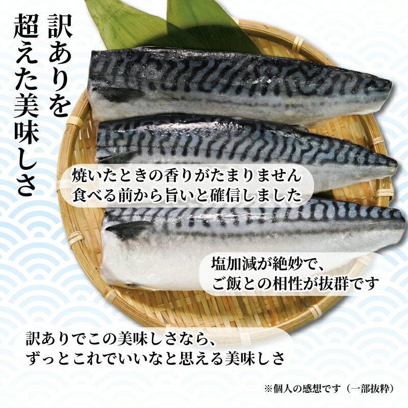 【ふるさと納税】 訳あり 塩サバ フィーレ 約3.5kg 冷凍 おかず 惣菜 鯖 さば 魚 海鮮 大容量 銚子 銚子東洋