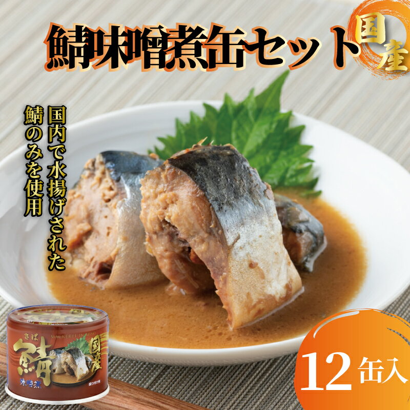 【ふるさと納税】 国産鯖味噌煮12缶セット 190g×12缶