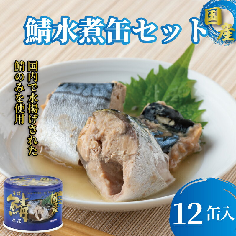 【ふるさと納税】 国産鯖水煮12缶セット 鯖 さば サバ 缶詰 国産 国内産 水煮 水煮缶 惣菜 セット 千葉県 銚子市