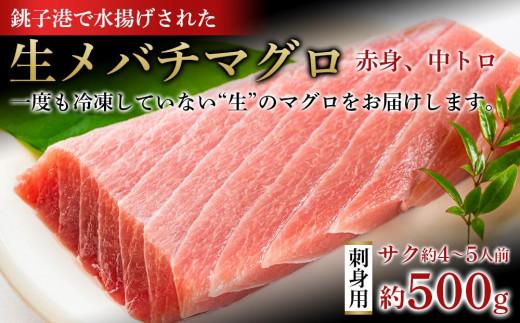 27位! 口コミ数「0件」評価「0」銚子港水揚げ　生メバチマグロ(刺身用サク)500グラム 約4～5人前　※北海道、沖縄県、離島への発送不可　※発送日・曜日指定不可