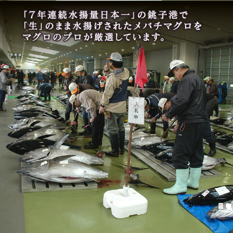 【ふるさと納税】銚子港水揚げ　生メバチマグロ(刺身用サク)300グラム程度 　※沖縄県、離島への発送不可　※発送日・曜日指定不可