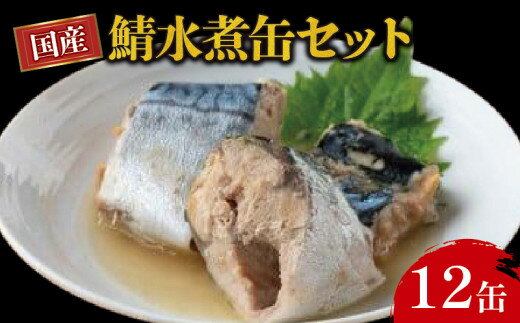 【ふるさと納税】 国産鯖水煮12缶セ