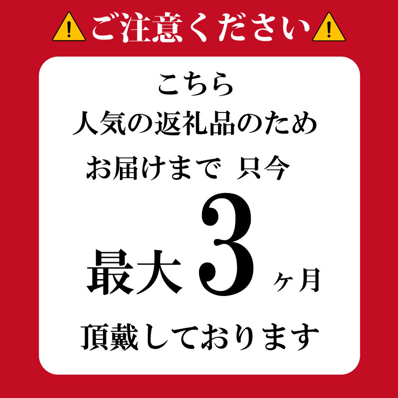 【ふるさと納税】 訳あり トロ 塩さば 約 3kg 鯖 さば 冷凍 食品 小分け 大容量 人気 魚 魚介 魚貝 海鮮 弁当 惣菜 おかず おつまみ 贈答 プレゼント ギフト お取り寄せ グルメ 送料無料 不揃い 規格外 ふるさと納税 ふるさと納税鯖 千葉県 銚子市 飯田商店 iidachoshi