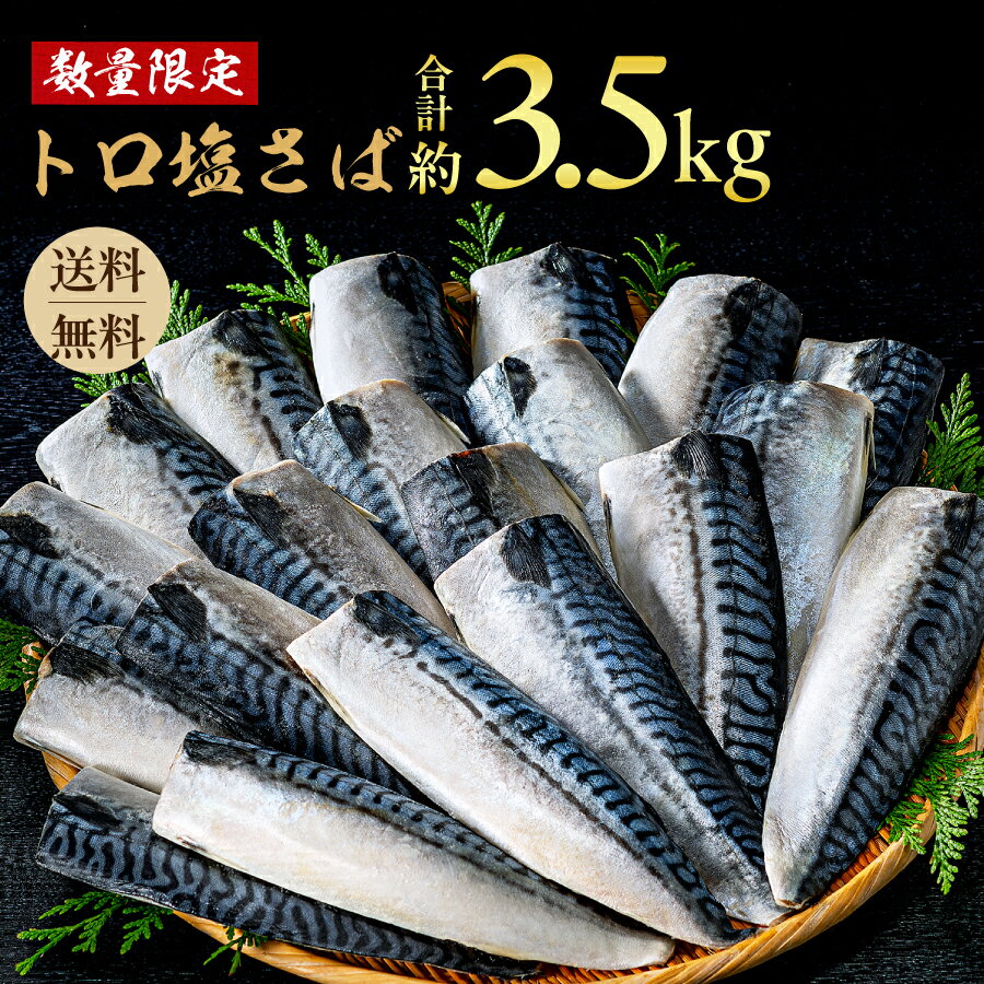 【ふるさと納税】 訳あり トロ 塩さば 3.5kg 大盛り 千葉 銚子 塩鯖 おかず おつまみ 酒 あて 海鮮 魚 飯田商店 ※北海道、沖縄、離島への配送不可