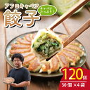 【ふるさと納税】 訳あり アフロキャベツ餃子 4袋 × 30個 合計 120個 餃子 ギョーザ ぎょうざ きゃべつ キャベツ 日本一 点心 豚肉 皮 ひ志お 醤油 具 焼き方 アレンジ タレ 味付け 野菜 夕食 ふるさと納税 ふるさと納税餃子 冷凍 送料無料 千葉県 銚子市 くるくるやっほー