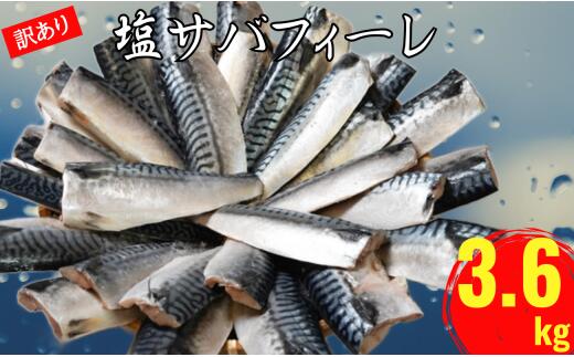 【ふるさと納税】訳あり 塩さば フィレ 約3.6kg 冷凍 おかず 惣菜 サバ 鯖 つまみ 海鮮 魚 銚子 辻野