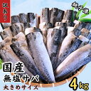 【ふるさと納税】 訳あり 国産 無塩 サバ 4kg 大サイズ 1枚170g さば 鯖 魚 海鮮 魚介類 フィレ 切身 無塩 不揃い 規格外 傷 冷凍 食品 小分...