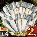 【ふるさと納税】 訳あり 国産 無塩さば 約 2kg 小サイズ 鯖 さば 無塩 無塩鯖 国産さば 国産鯖 小分け 大容量 人気 魚 魚介 魚貝 海鮮 惣菜 おかず つまみ お取り寄せ おすすめ フィーレ フィレ 切身 切り身 不揃い 規格外 ふるさと納税 送料無料 千葉県 銚子市 大國屋