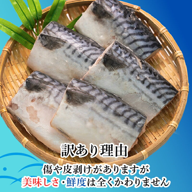 【ふるさと納税】 訳あり 熟成 塩サバ 切身 約 3.5kg 切身 切り身 塩焼き 塩焼 味噌煮 カネジョウ大崎 千葉県 銚子市