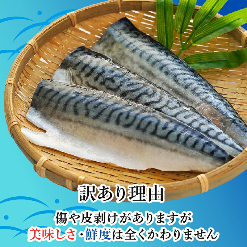 【ふるさと納税】 訳あり 塩サバ 腹骨取り 約 3.5kg フィレ 鯖 さば サバ 冷凍 おかず 惣菜 カネジョウ大崎 千葉県 銚子市