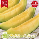 【ふるさと納税】【先行予約】 大玉 ラブコールメロン 2玉
