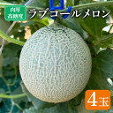 【ふるさと納税】 先行予約 ラブコールメロン 4玉 メロン 果物 フルーツ 糖度 甘い 贈答 プレゼント ギフト ゼリー ジュース フルーツサンド ケーキ シャーベット アイス デザート スイーツ 送料無料 千葉県 銚子市 はぎわらファーム 発送時期 2026年7月~(なくなり次第終了)