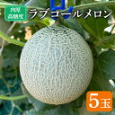 【ふるさと納税】 先行予約 ラブコールメロン 5玉 メロン 果物 フルーツ 糖度 甘い 贈答 プレゼント ギフト ゼリー ジュース フルーツサンド ケーキ シャーベット アイス デザート スイーツ 送料無料 千葉県 銚子市 はぎわらファーム 発送時期 2026年7月~(なくなり次第終了)