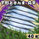 【ふるさと納税】 さんま 下剋上さんま 丸干 40尾 国産 さんま 冷凍 サンマ 秋刀魚 正規品 無添加 大容量 国産 丸干し 旬 季節の味覚 銚子 海の幸 海...