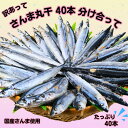 【ふるさと納税】 さんま サンマ 秋刀魚 40尾 訳あって さんま丸干 40本 分け合って 訳あり さんま 丸干し 冷凍 さんま 無添加 国産 北海道産 さんま...