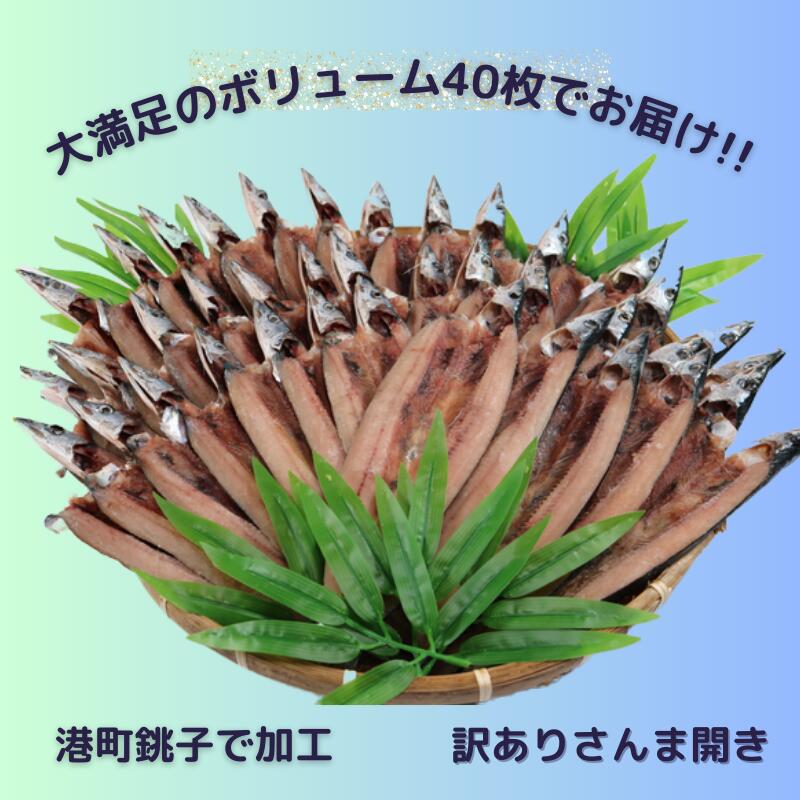 【ふるさと納税】 訳あって さんま 開き40枚 分け合って さんま サンマ 秋刀魚 訳あり 冷凍 干物 開き 千葉県 銚子市