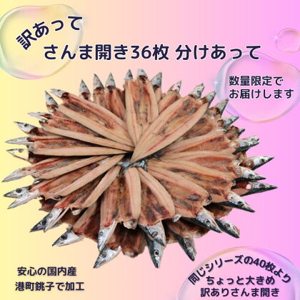 訳あって さんま開き36枚 分け合って さんま サンマ 秋刀魚 訳あり 冷凍 干物 開き 千葉県 銚子市