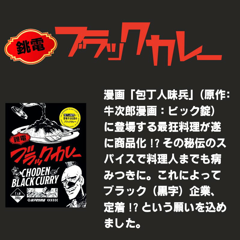 【ふるさと納税】 銚電 ブラックカレー 30食 銚子電気鉄道 レトルトカレー 銚子電鉄 カレー ポーク ご当地カレー 特産品 お土産 オリジナルカレー 名物 非常食 保存食 備蓄用 防災備蓄 長期保存 常温 防災グルメ 備蓄食品 時短グルメ 時短 大容量 千葉県銚子市 銚子電気鉄道 f122025-choshi-10002324 千葉県銚子市 サンプル画像2