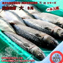 国産塩鯖 大サイズ8尾 約4kg 冷凍 さば サバ 鯖 国産 塩 美味しい 国産鯖 青魚 塩鯖 新鮮 海鮮 バーベキュー 千葉県 銚子市