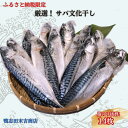 6位! 口コミ数「0件」評価「0」 厳選 ！ サバ文化干し 14枚 ！ ふるさと納税限定 工場直送 サバ さば 鯖 さば文化 サバ文化 さば文化干し サバ文化干し 文化干し ･･･ 