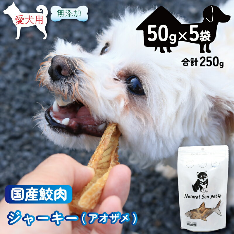 【ふるさと納税】 乾燥サメ肉ジャーキー 青鮫5パック（50g×5）250g ＜ 保存料 ・着色料 不使用＞ 国産 ..