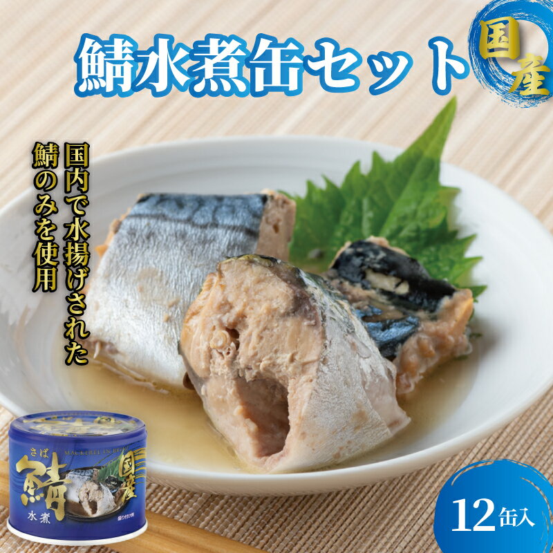 【ふるさと納税】 国産鯖水煮12缶セット 190g×12缶 