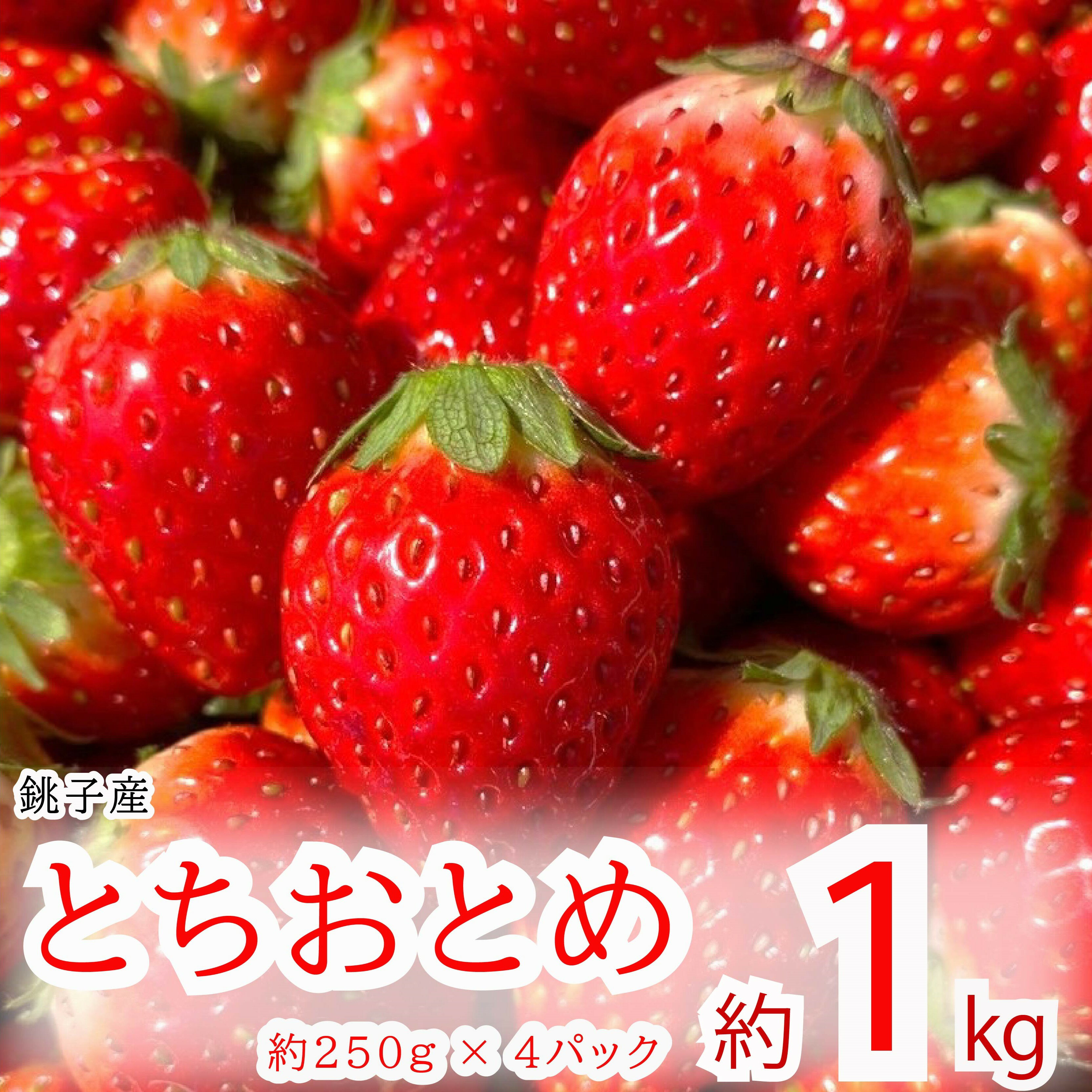 【ふるさと納税】 先行予約 とちおとめ 約1kg 250g×4パック いちご 苺 ストロベリー 果物 フルーツ ジャム ケーキ ゼリー ジュース いちご大福 苺大福 フルーツサンド ショートケーキ 朝摘み 新鮮 産直 安心 安全 期間限定 送料無料 国産 千葉県 銚子市 神原いちご園