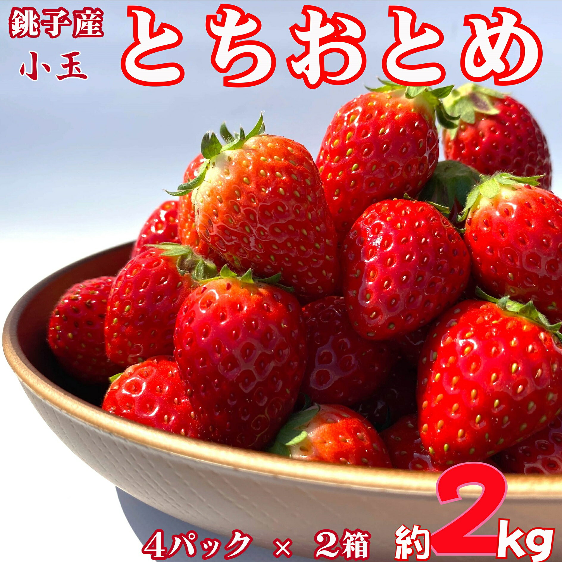 先行予約 いちご とちおとめ 小玉 約2kg （250g × 8パック） 千葉県 銚子市 松岸 神原いちご園 小玉 とちおとめ 約2kg イチゴ 苺 こだわり 人気 小さいサイズ 食べやすい 果物 ストロベリー ジャム 朝摘み 採れたて 新鮮 産直 安心安全 千葉県 銚子市