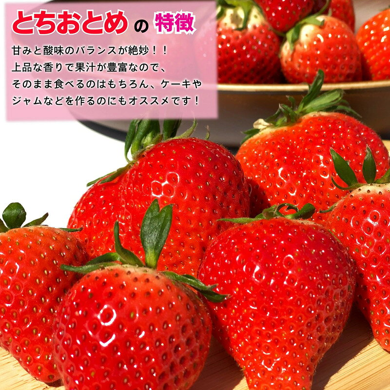 【ふるさと納税】 先行予約 とちおとめ やよいひめ 旬のいちご定期便 4か月 毎月 約1kg 朝摘み 朝採り 産直 産地直送 果物 果実 甘い ストロベリー フルーツ くだもの ギフト プレゼント グルメ 贈答 苺 ふるさと納税苺 千葉県 銚子市 神原いちご園 【2027年1月~4月発送】 f122025-choshi-10002340 千葉県銚子市 サンプル画像3