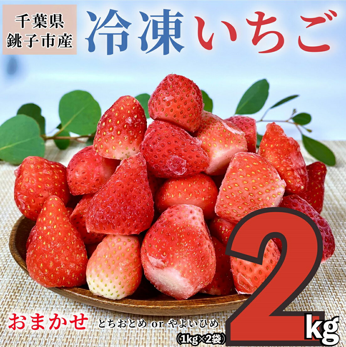 冷凍いちご 2kg （ 1kg × 2 ） とちおとめ やよいひめ 冷凍イチゴ 神原いちご園 銚子産 苺 いちご イチゴ 真空パック 冷凍 冷凍フルーツ カットフルーツ フルーツ ジャム スムージー 便利 簡単 千葉県 銚子市