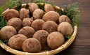 【ふるさと納税】 生椎茸(約500〜600g、15個程度) 千葉県 銚子市