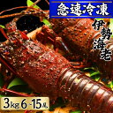 【ふるさと納税】 【漁師直送/活〆冷凍】 冷凍 伊勢海老 (3kg/6〜15尾) 銚子港 水揚げ