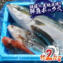 【ふるさと納税】 魚のプロにお任せ! 銚子港 水揚げ 産地直送 鮮魚セット 2kg 旬の魚 旬の鮮魚 魚 鮮魚 セット 海の幸 刺身 お任せ 厳選 朝採れ 鮮度...