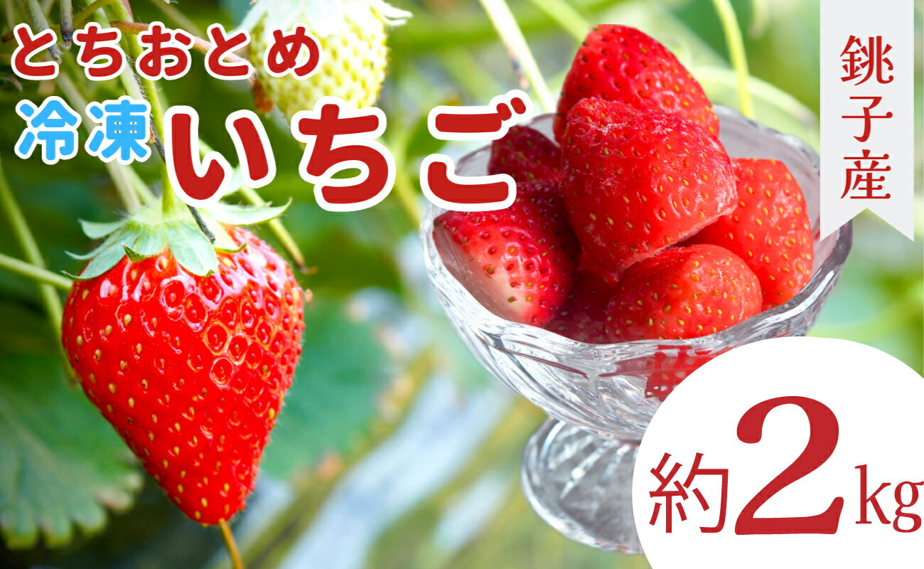 13位! 口コミ数「0件」評価「0」 冷凍イチゴ 2kg (1kg × 2） 萩谷園芸 銚子産 とちおとめ 苺 いちご イチゴ 真空パック 冷凍 冷凍フルーツ カットフルーツ ･･･ 