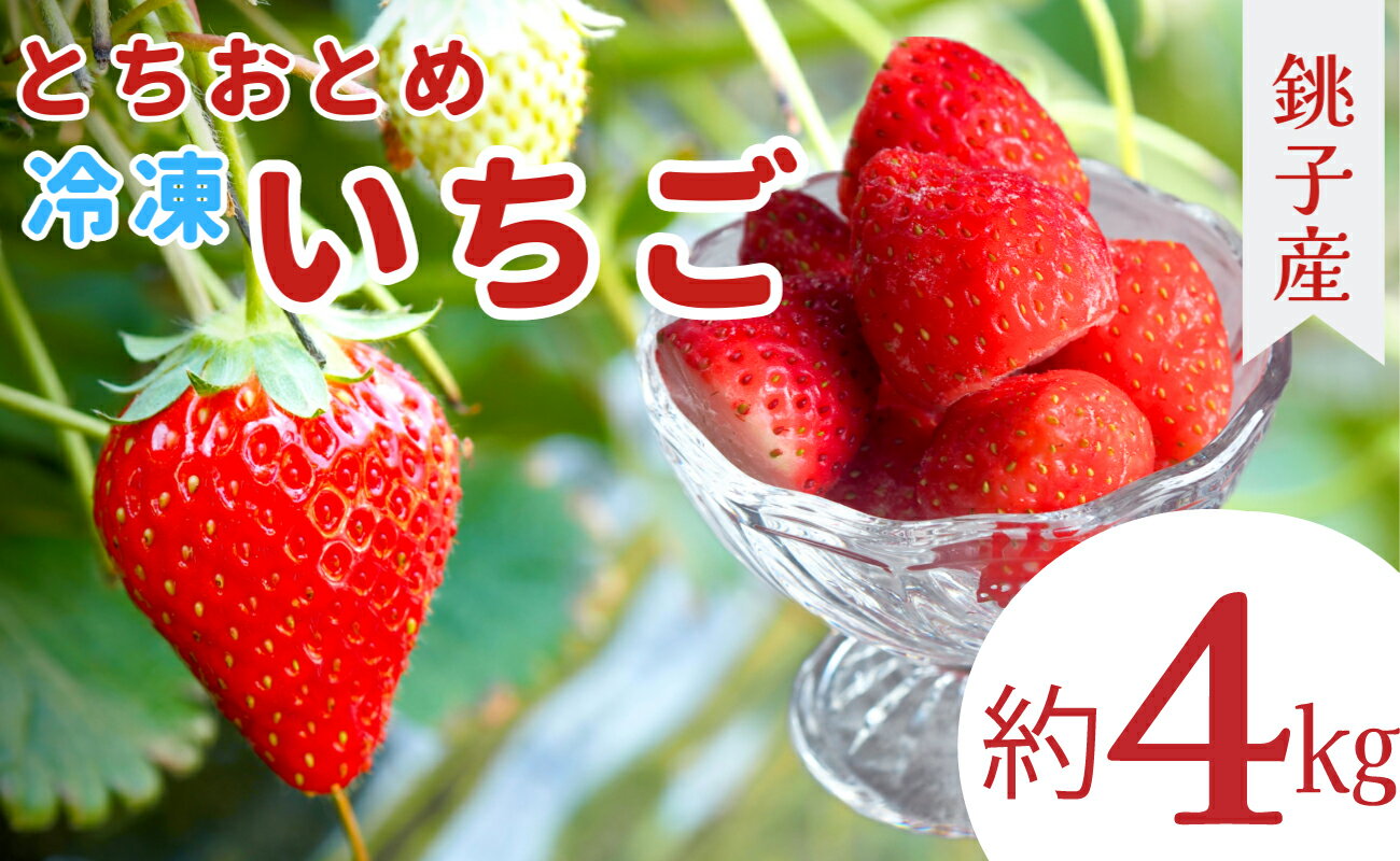 57位! 口コミ数「0件」評価「0」冷凍イチゴ 4kg （1kg × 4 ） 萩谷園芸 銚子産 とちおとめ 苺 いちご イチゴ 真空パック 冷凍 冷凍フルーツ カットフルーツ ･･･ 