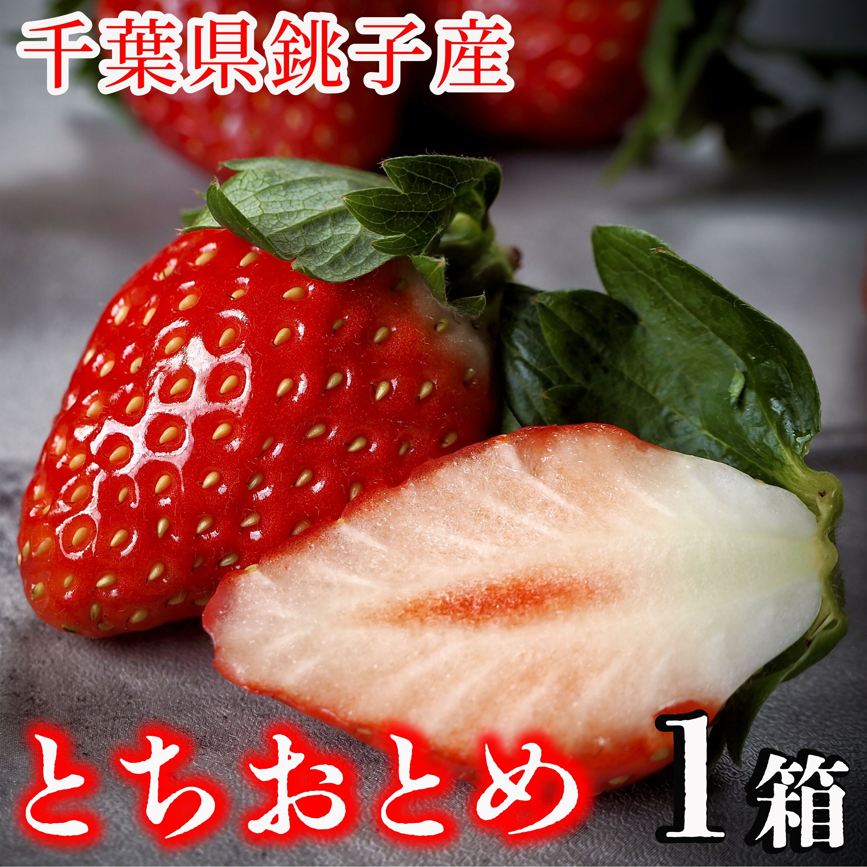 【ふるさと納税】 先行予約 いちご とちおとめ（ 500g ） 萩谷園芸 銚子産 苺 いちご イチゴ ビタミンC 葉酸 食物繊維 デザート ミルフィーユ フルーツ ヨーグルト スムージー 千葉県 銚子市