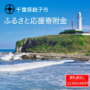 【ふるさと納税】 千葉県 銚子市 ふるさと 応援寄附金 300000円 返礼品なし (ご寄附のみとなります)