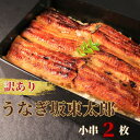 【ふるさと納税】 訳あり うなぎ蒲焼 小串2枚 (約90g×2) 鰻 国産 坂東太郎 蒲焼 国産うなぎ セット 不揃い グルメ お取り寄せ 冷凍 ひつまぶし うな重 うな丼 規格外 小分け 個包装 真空 土用の丑の日 丑の日 送料無料 ギフト 贈り物 贈答 簡単調理 千葉県 銚子市 忠平