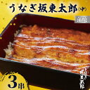【ふるさと納税】 うなぎ坂東太郎 蒲焼 中3串 うなぎ 坂東太郎 蒲焼 グルメ 鰻 加工品 レトルト 惣菜 人気 おすすめ 簡単調理 真空パック お取り寄せ グ...