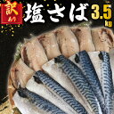 【ふるさと納税】 訳あり 塩鯖フィレ 3.5kg さば 鯖 塩鯖 塩さば フィレ 塩さばフィレ 塩サバフィレ 切り身 切身 魚 海鮮 魚介類 不揃い 小分け 個...