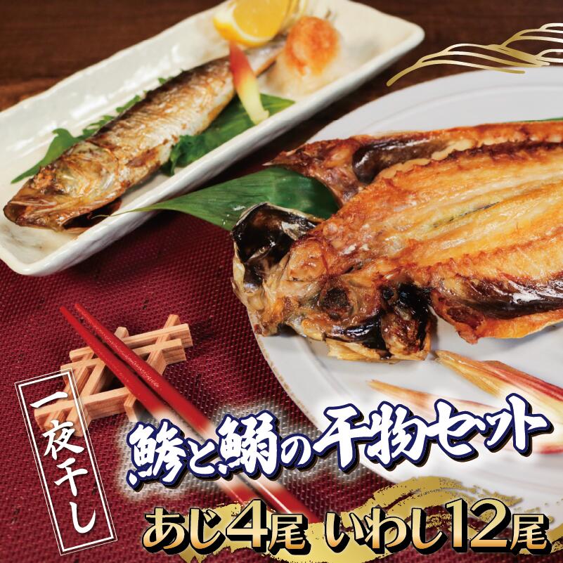 【ふるさと納税】 干物セット 16尾 銚子産 あじ 4尾 いわし 12尾 一夜干し セット 干物 さかな 肴 魚 新鮮 海鮮 魚介 ひもの 鰯 鯵 水揚げ 真い...