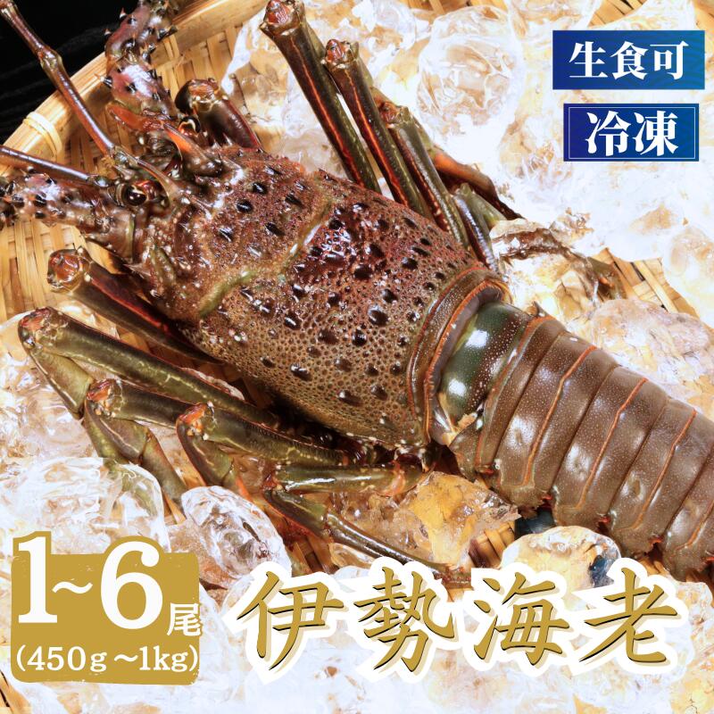 【ふるさと納税】 冷凍 伊勢海老 特大 1〜3尾 (800〜1000g) ・ 2、4尾(600〜800g)・2、4、6尾(450〜600g) イセエビ エビ 海...