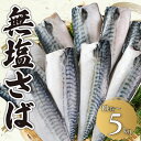 【ふるさと納税】 無塩さば 【選べる容量】 10枚〜5kg