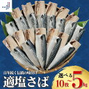 【ふるさと納税】 適塩さば 約10枚〜5kg さば 鯖 サバ 適塩 さば 無塩サバ 適塩鯖 サバフィーレ 鯖フィーレ さばフィレ サバフィレ 鯖フィレ 切り身 ...