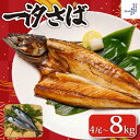 【ふるさと納税】 一汐さば 【選べる容量】 4尾〜8kg