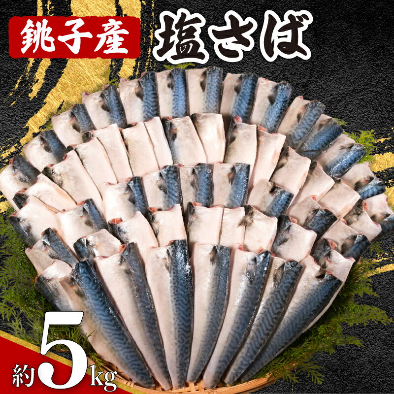 銚子産 塩さば 5kg 銚子港 国産 さば 鯖 塩さば 塩鯖 適塩 適塩さば さばフィーレ 人気 切り身 切身 無添加 添加物不使用 塩焼き 焼きさば 味噌煮 調理用 お取り寄せ グルメ 大容量 ふるさと納税 ふるさと納税さば 送料無料 千葉県 銚子市 エドノフーズ