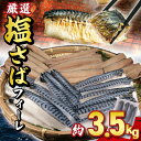【ふるさと納税】 サバ 塩サバフィーレ 約3.5kg ノルウェー産 冷凍 小分け サバ 鯖 フィーレ 海鮮 魚 大容量 青魚 おかず 惣菜 焼魚 魚貝 おつまみ...