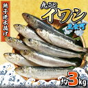 【ふるさと納税】 いわし 丸ごとイワシ 約3kg 鰯 海鮮 魚 大容量 おかず 惣菜 魚介 焼魚 魚貝 BBQ おつまみ 弁当 人気 冷凍食品 グルメ 贈答 贈...